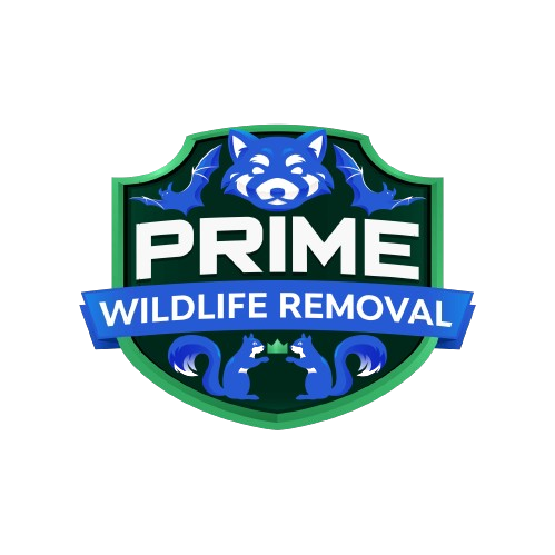 Wildlife Removal Company LLC